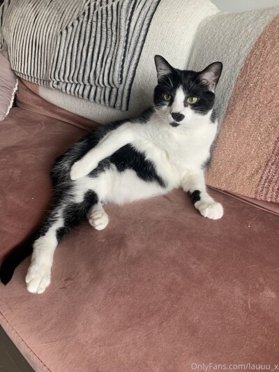 Lauren Caitlyn Photo #23