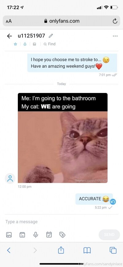 Sandy Inlace Photo #113