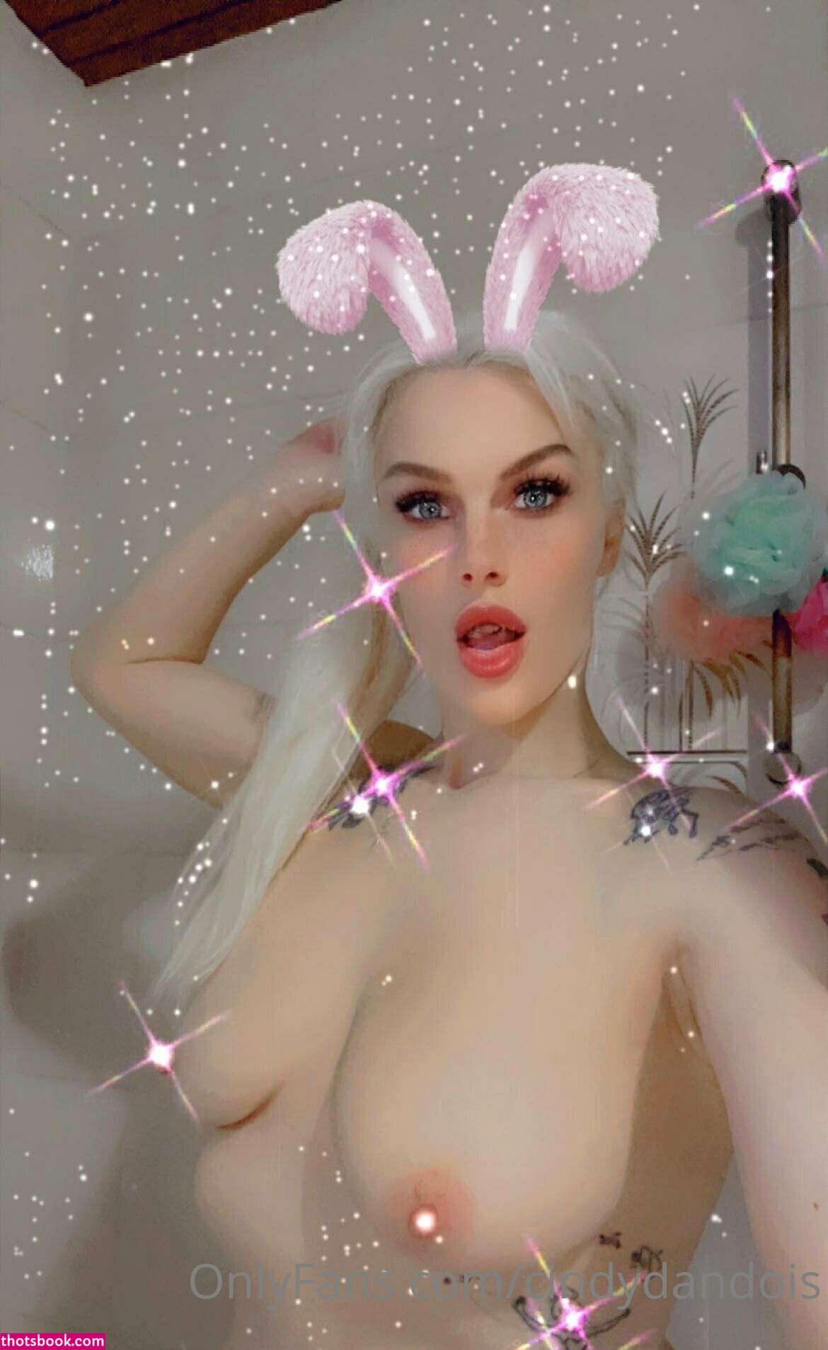 Cindy Dandois Photo #11