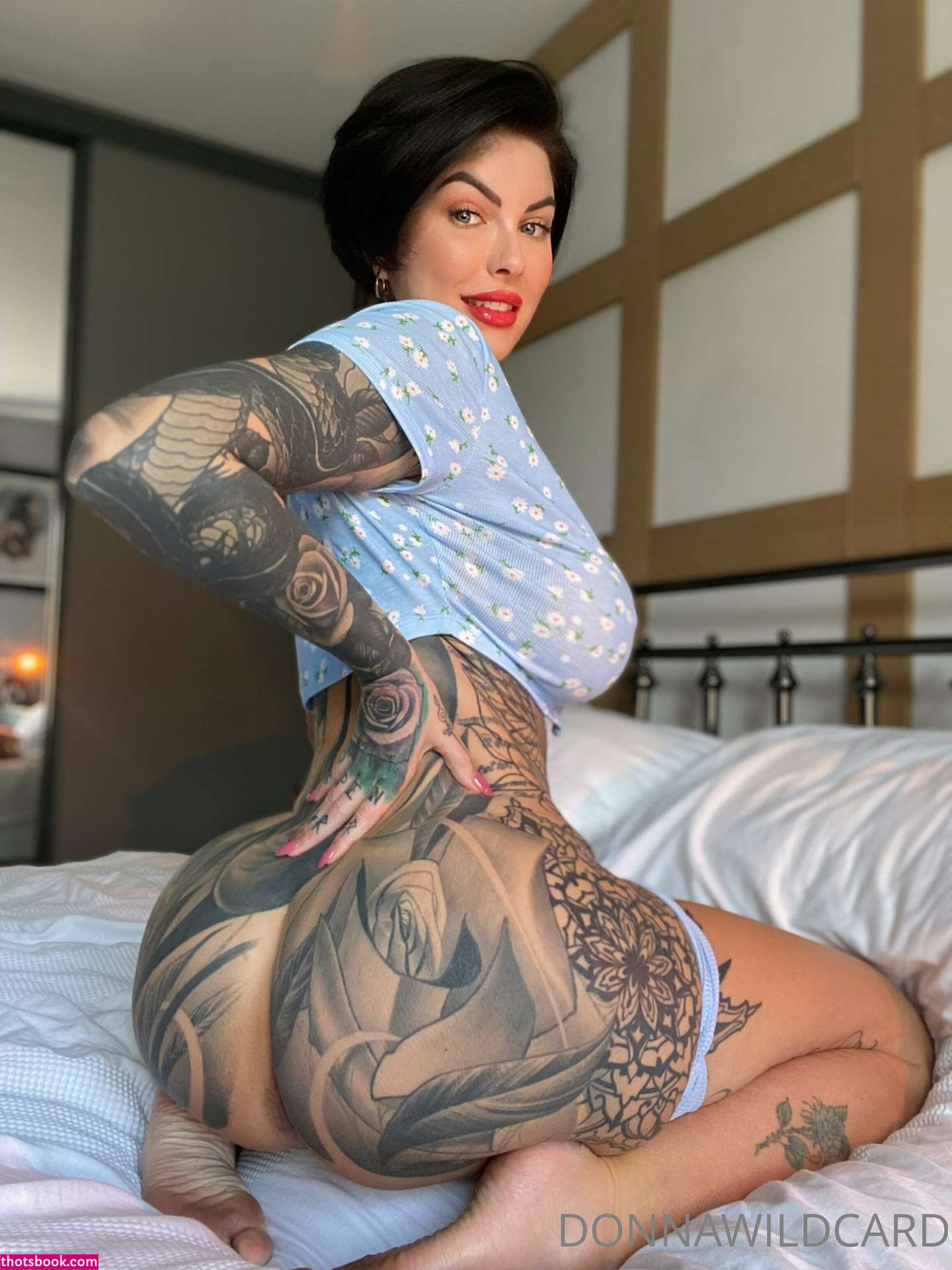 Donna Wildcard Photo #125