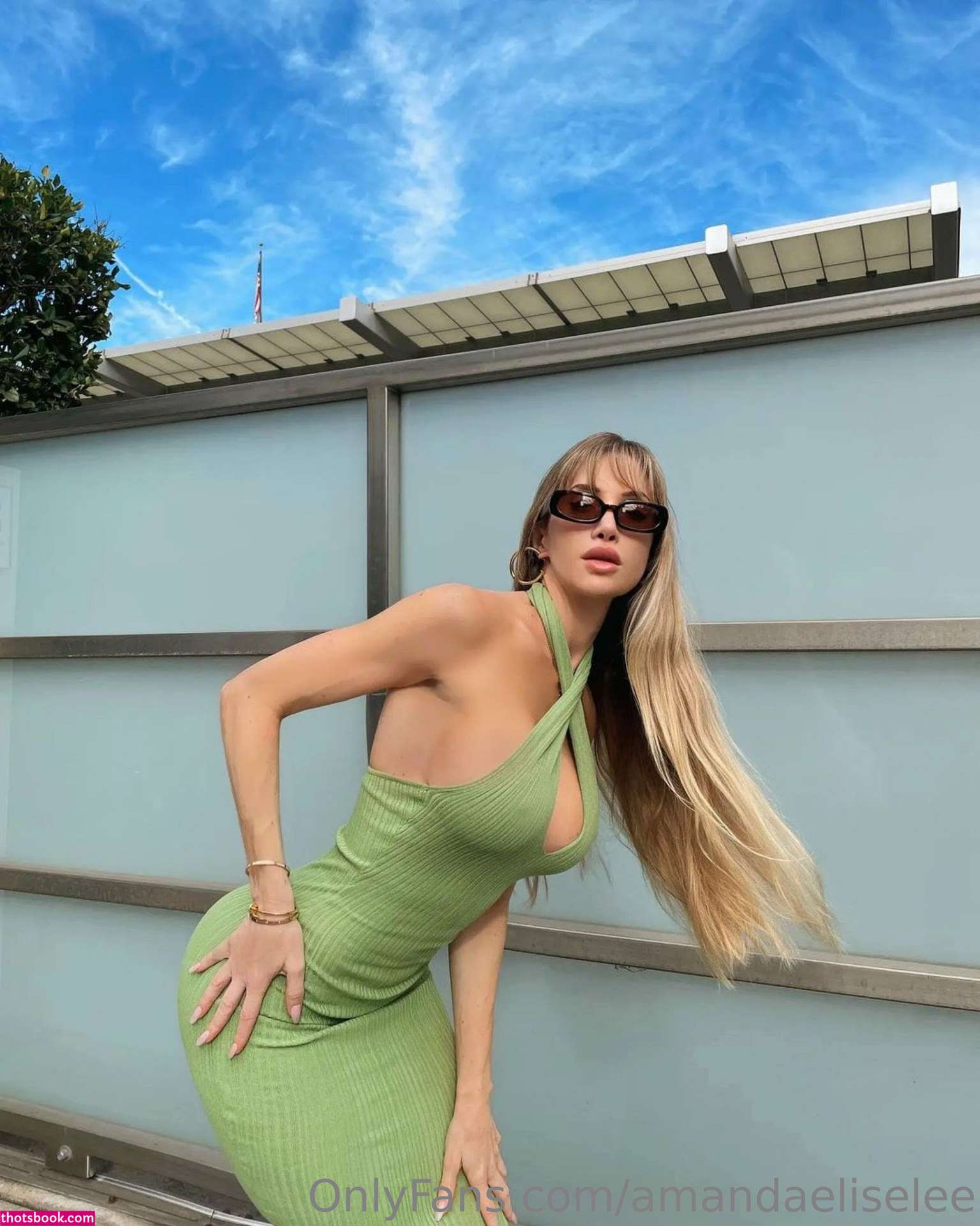 Amanda Elise Lee Photo #20