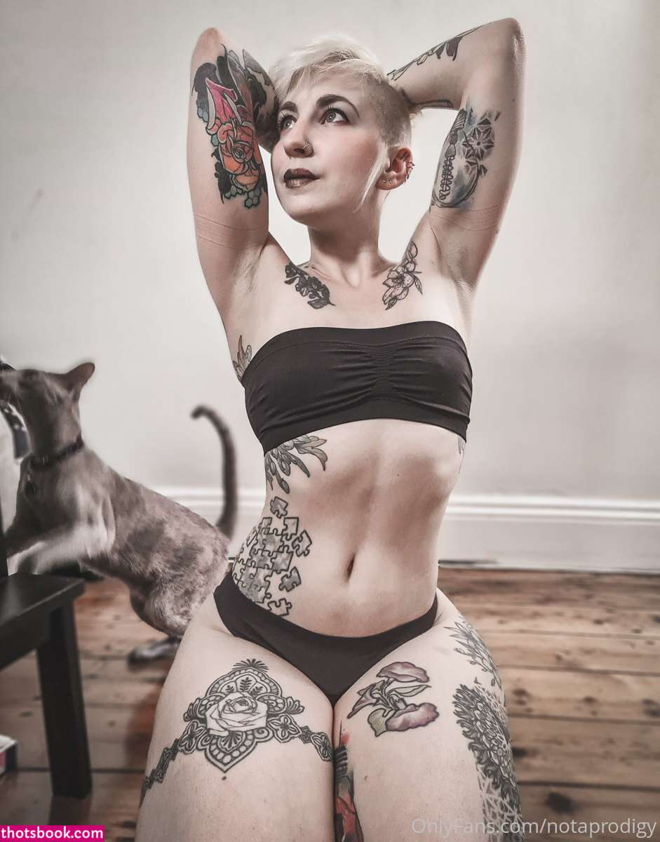 Notaprodigy Photo #7