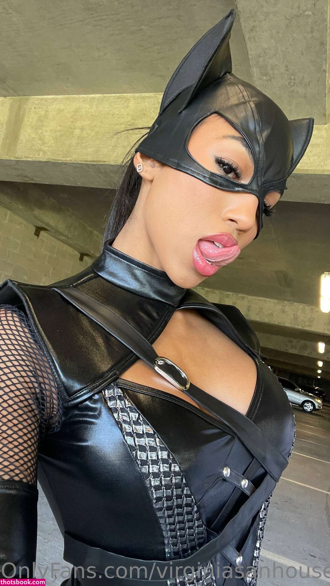 Virginia Sanhouse Photo #18