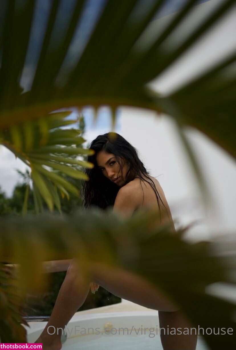 Virginia Sanhouse Photo #52