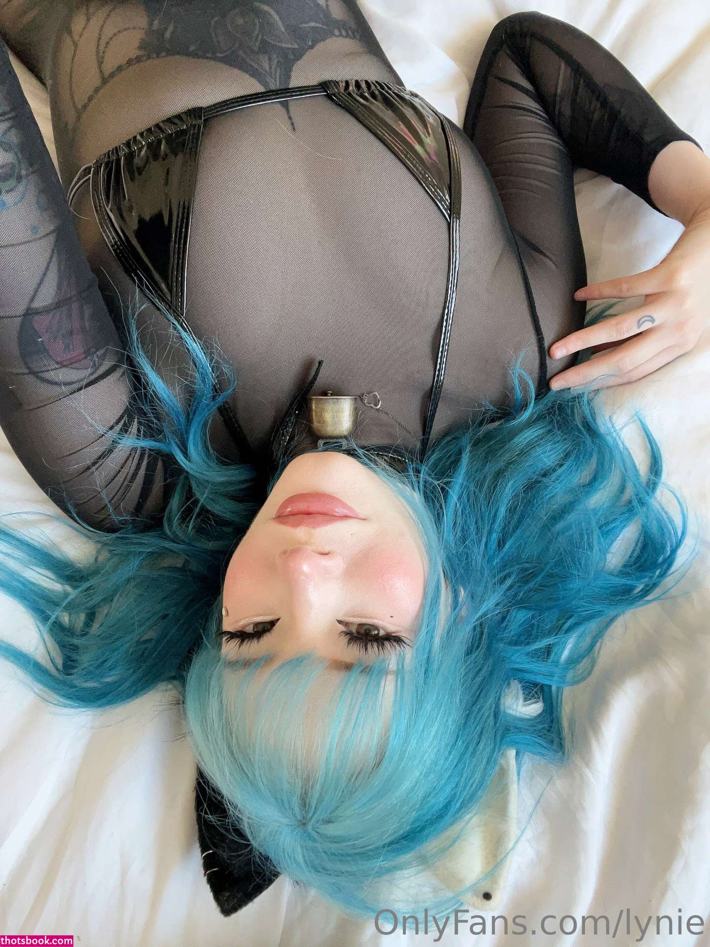 lynienicole Photo #423