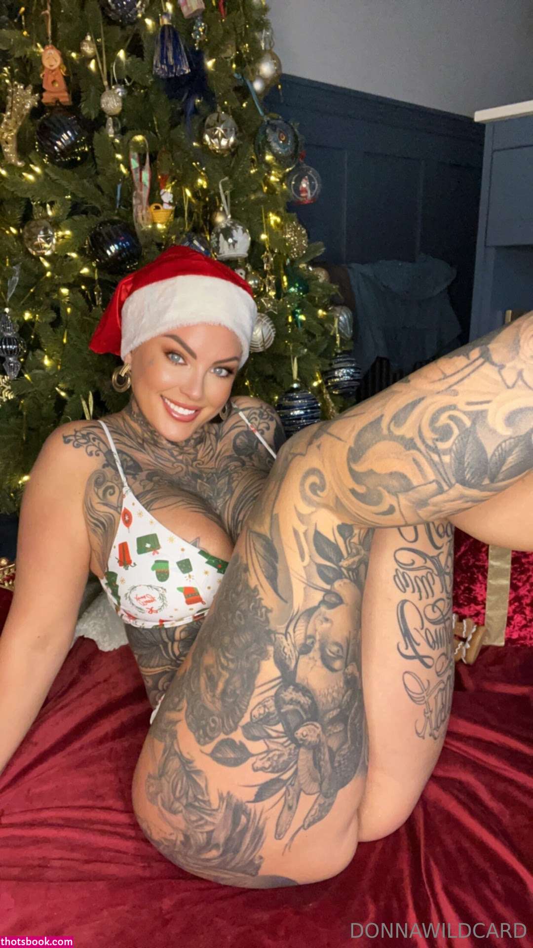 Donna Wildcard Photo #546