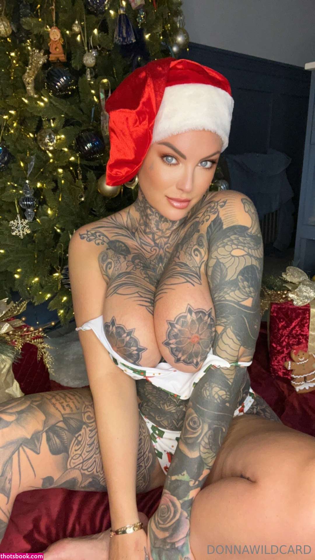 Donna Wildcard Photo #566