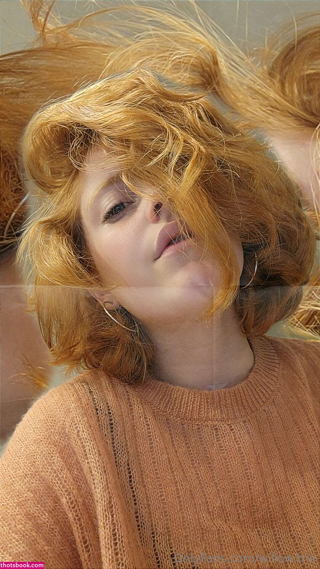 Willow Trie Photo #80