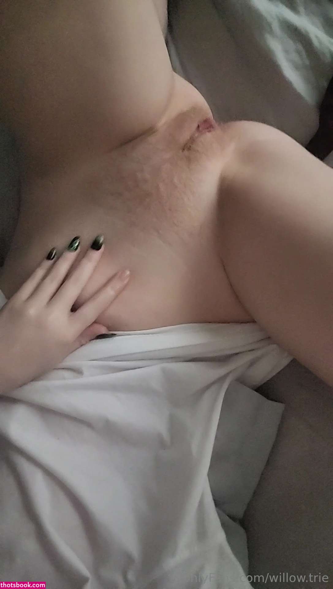 Willow Trie Photo #88