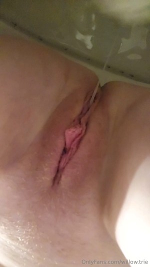 Willow Trie Photo #110