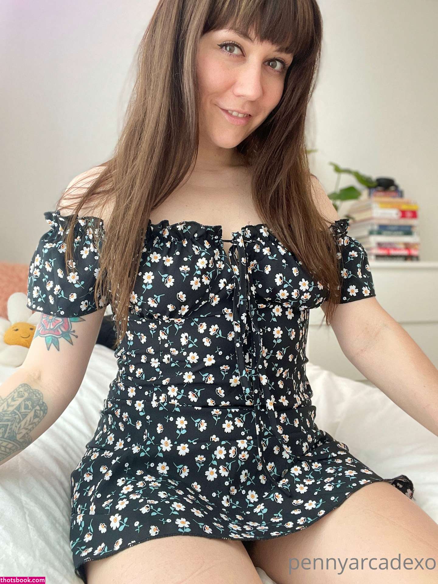 pennyarcadexo Photo #6