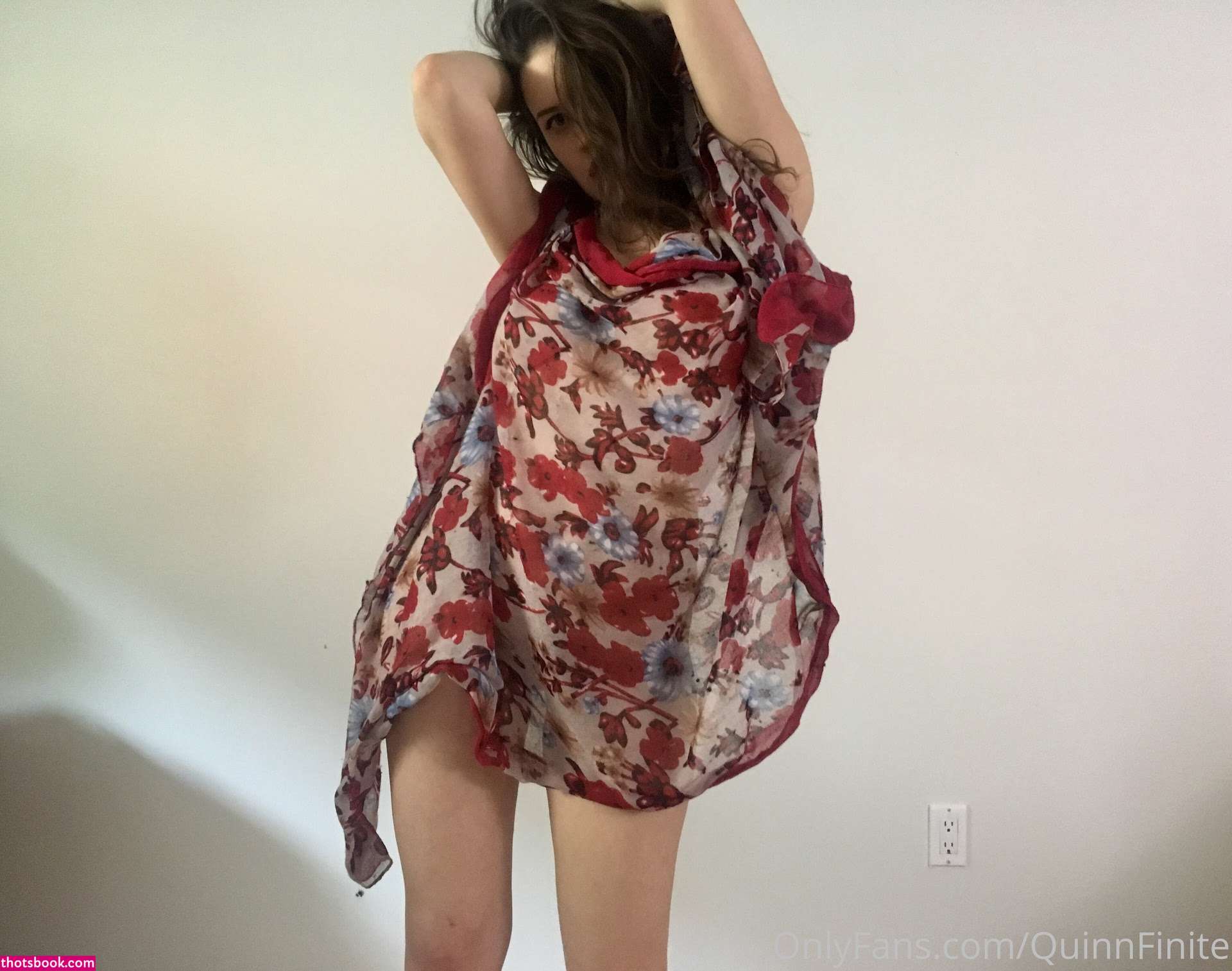 Quinn Finite Photo #85