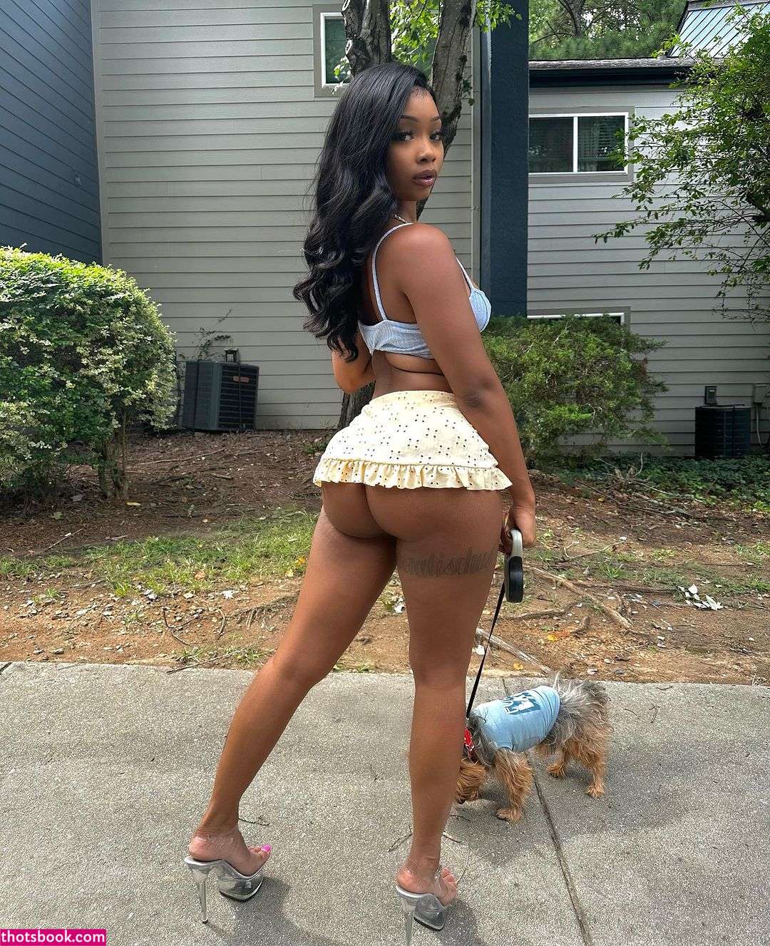 Daalischus Photo #37