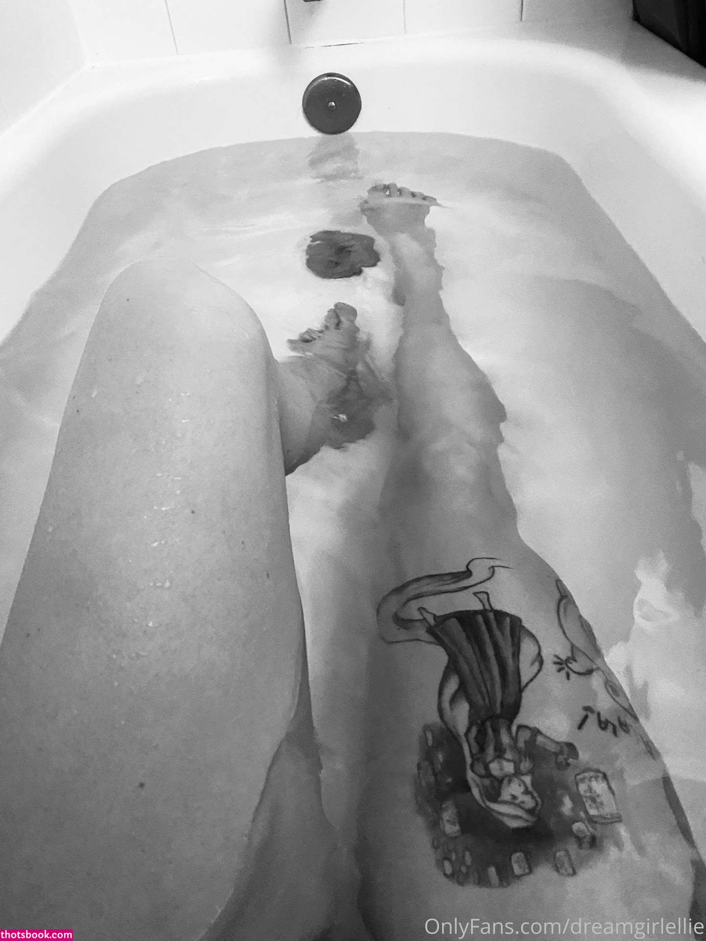 Elise Laurenne Photo #347