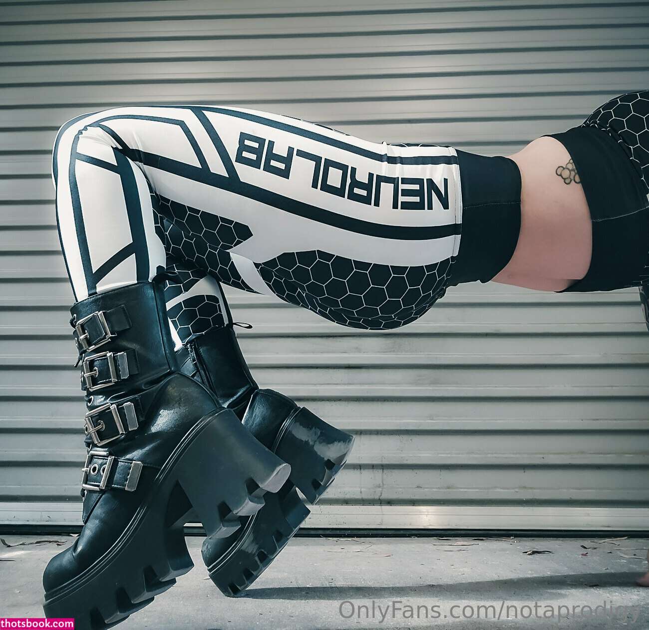 Notaprodigy Photo #111