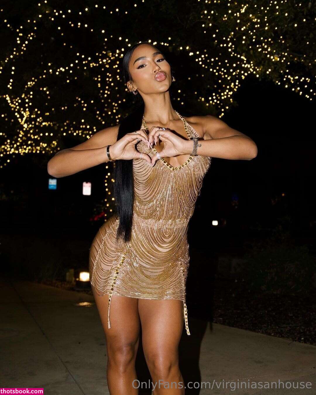 Virginia Sanhouse Photo #100