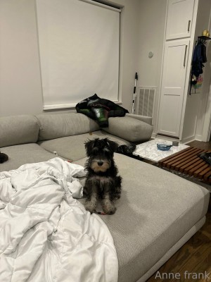 Anne Frank Photo #28