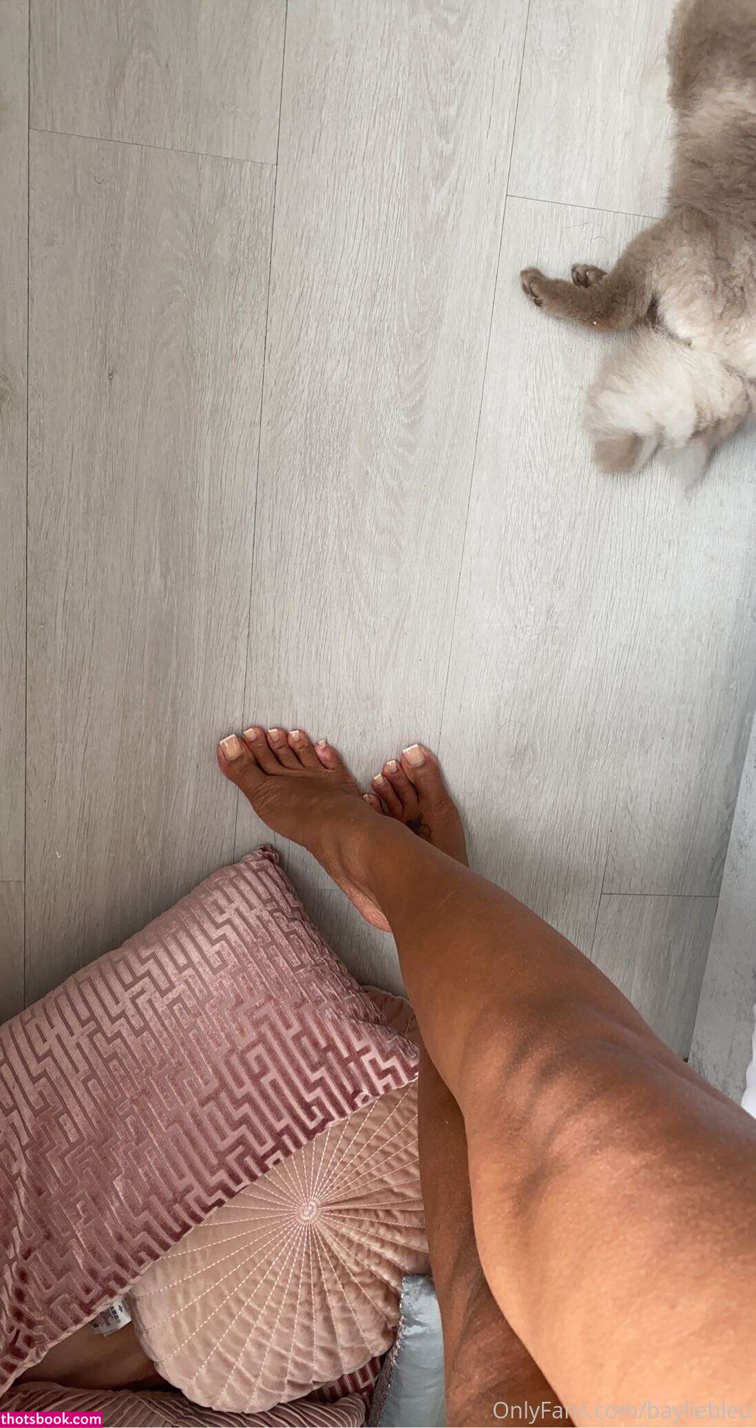 Bayliebleu Photo #28