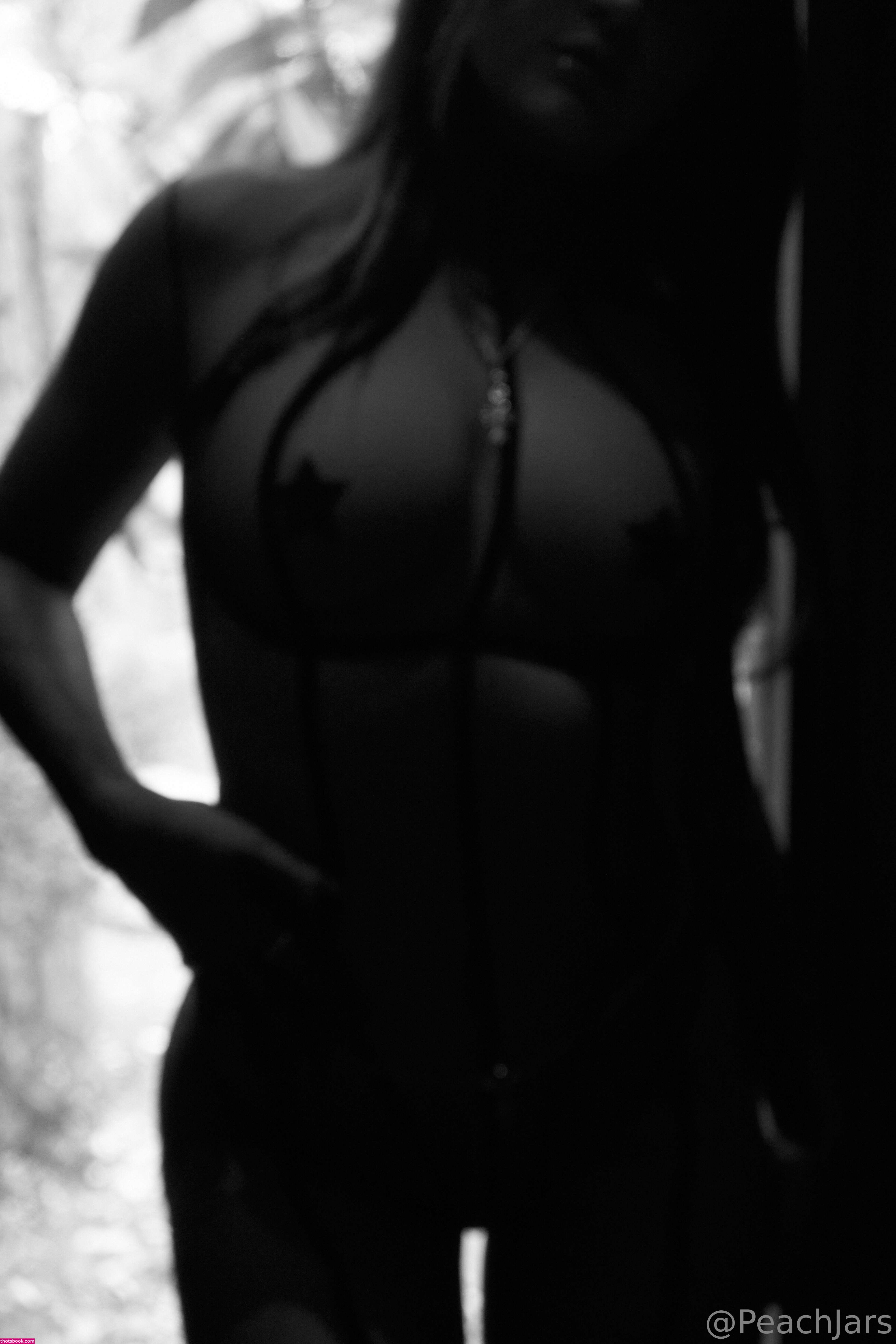 Peachjars Photo #832