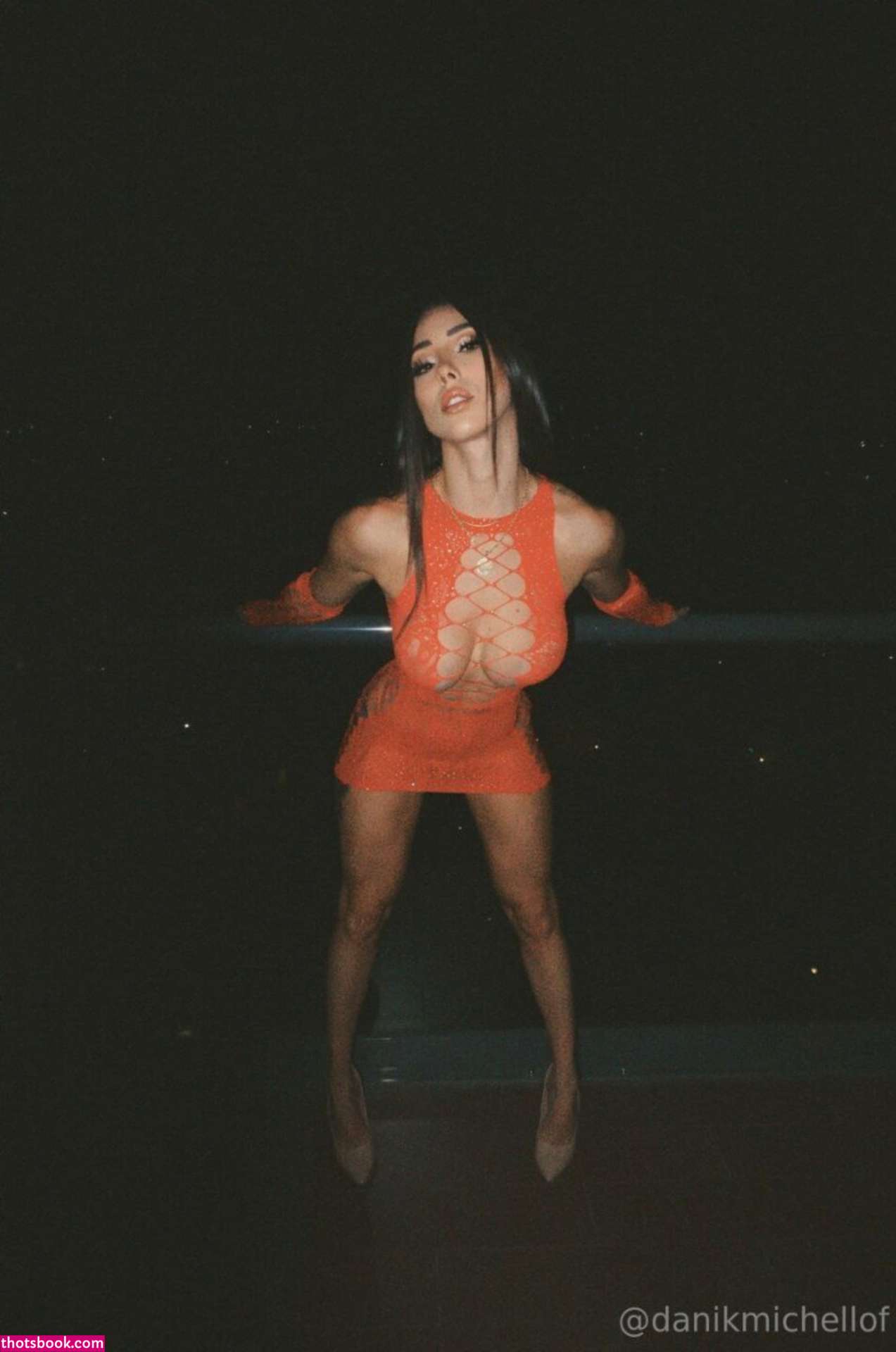 danikmichell Photo #52