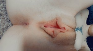 Domztrickz Photo #149