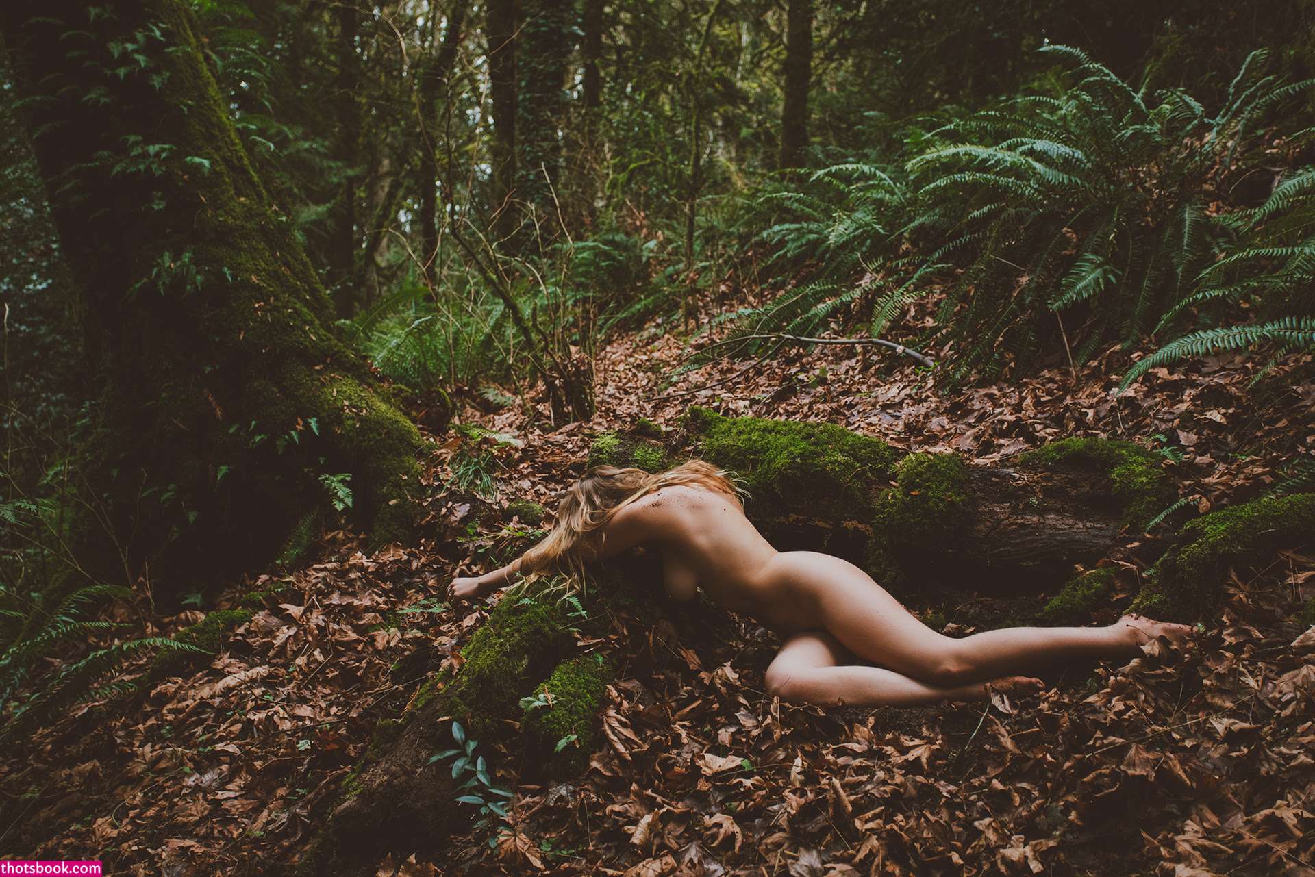 Kayla Coyote Photo #234