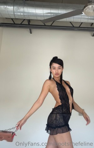 Bootsthefeline Photo #65