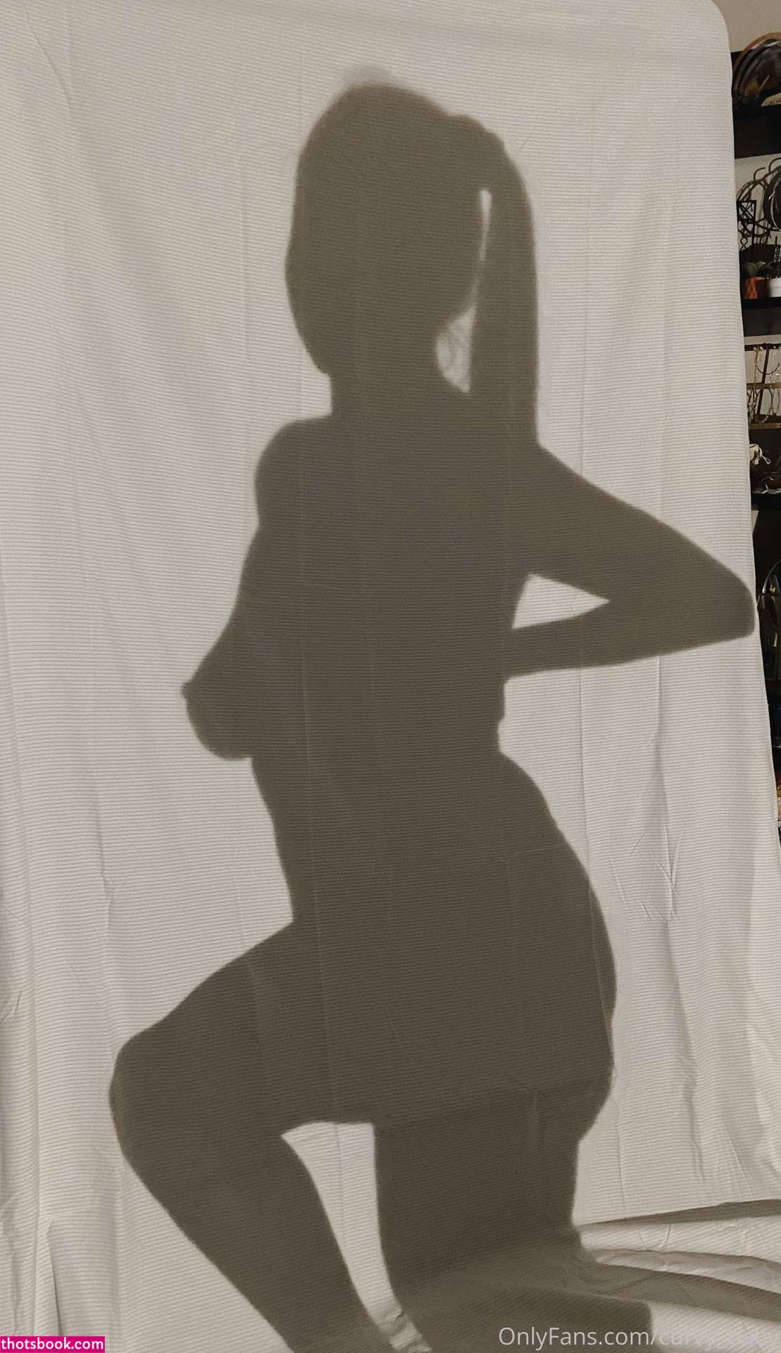 lizluvscats Photo #4