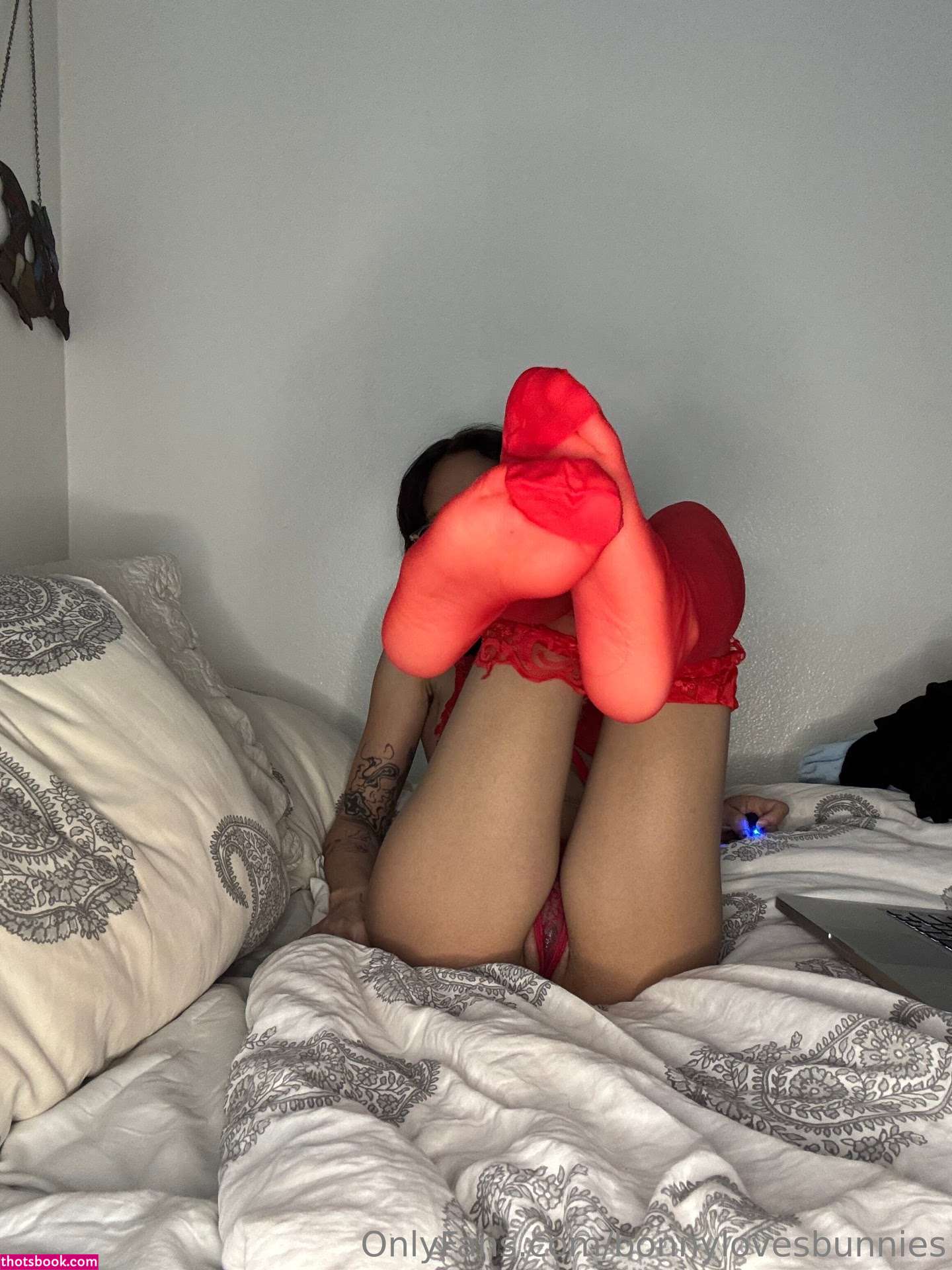 rabbitsfavorite Photo #35