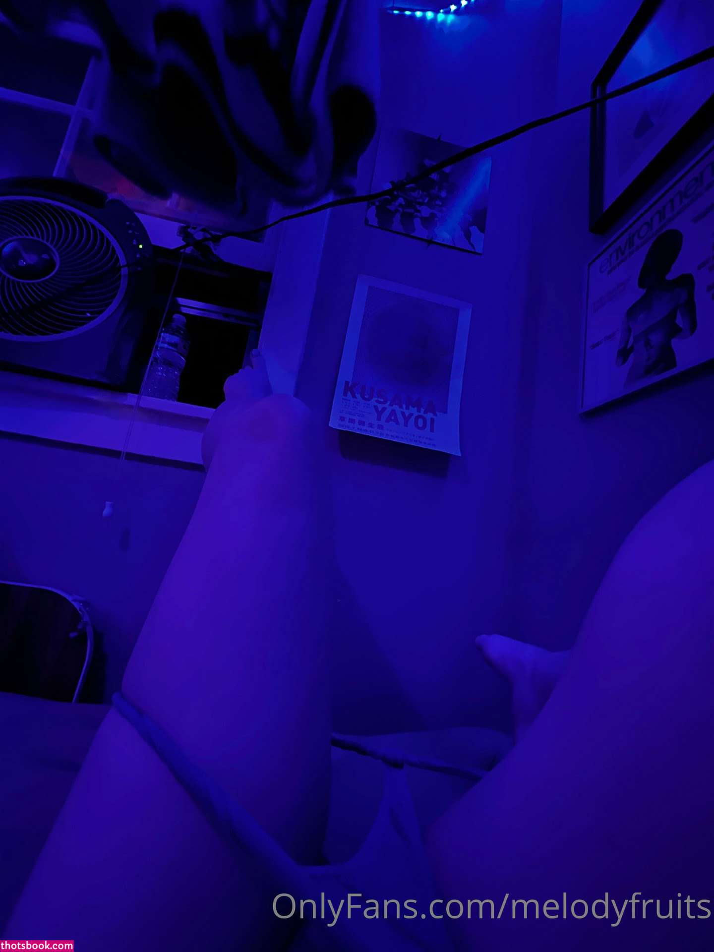 Melody Fruits Photo #44