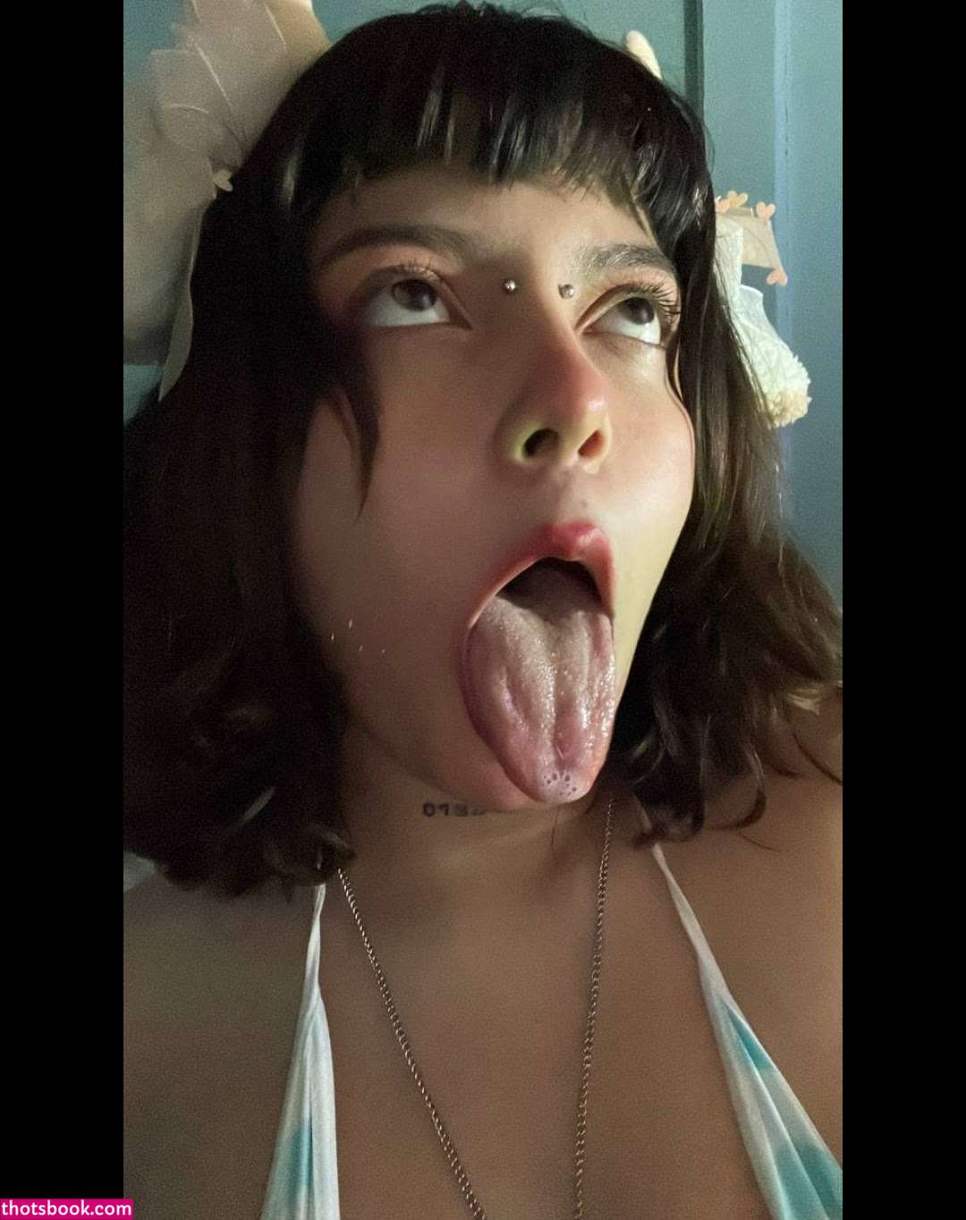 corderitoily Photo #2