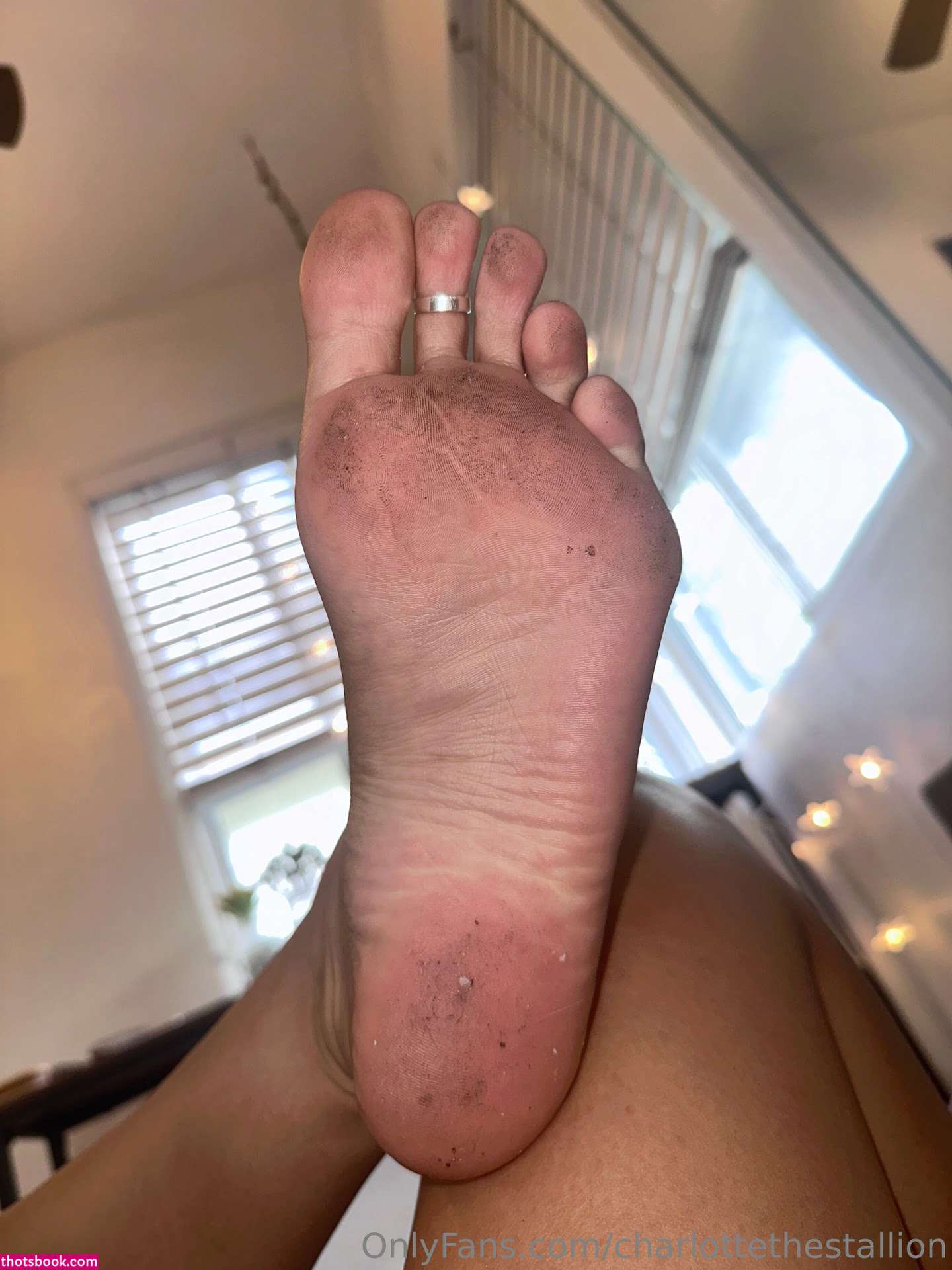 Charlottethestallion Photo #20