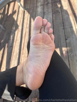 Charlottethestallion Photo #19