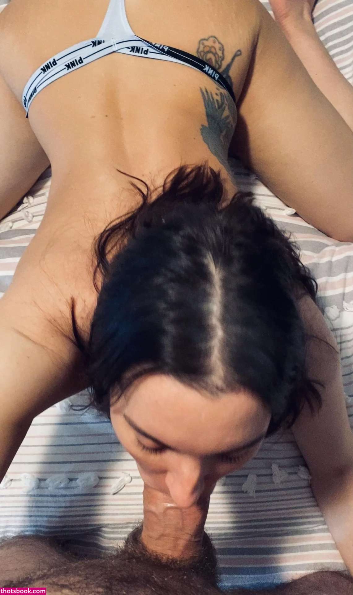 Palmettowinter Photo #12