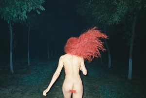 Mirrorcomb Photo #10