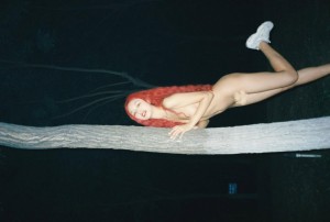 Mirrorcomb Photo #18