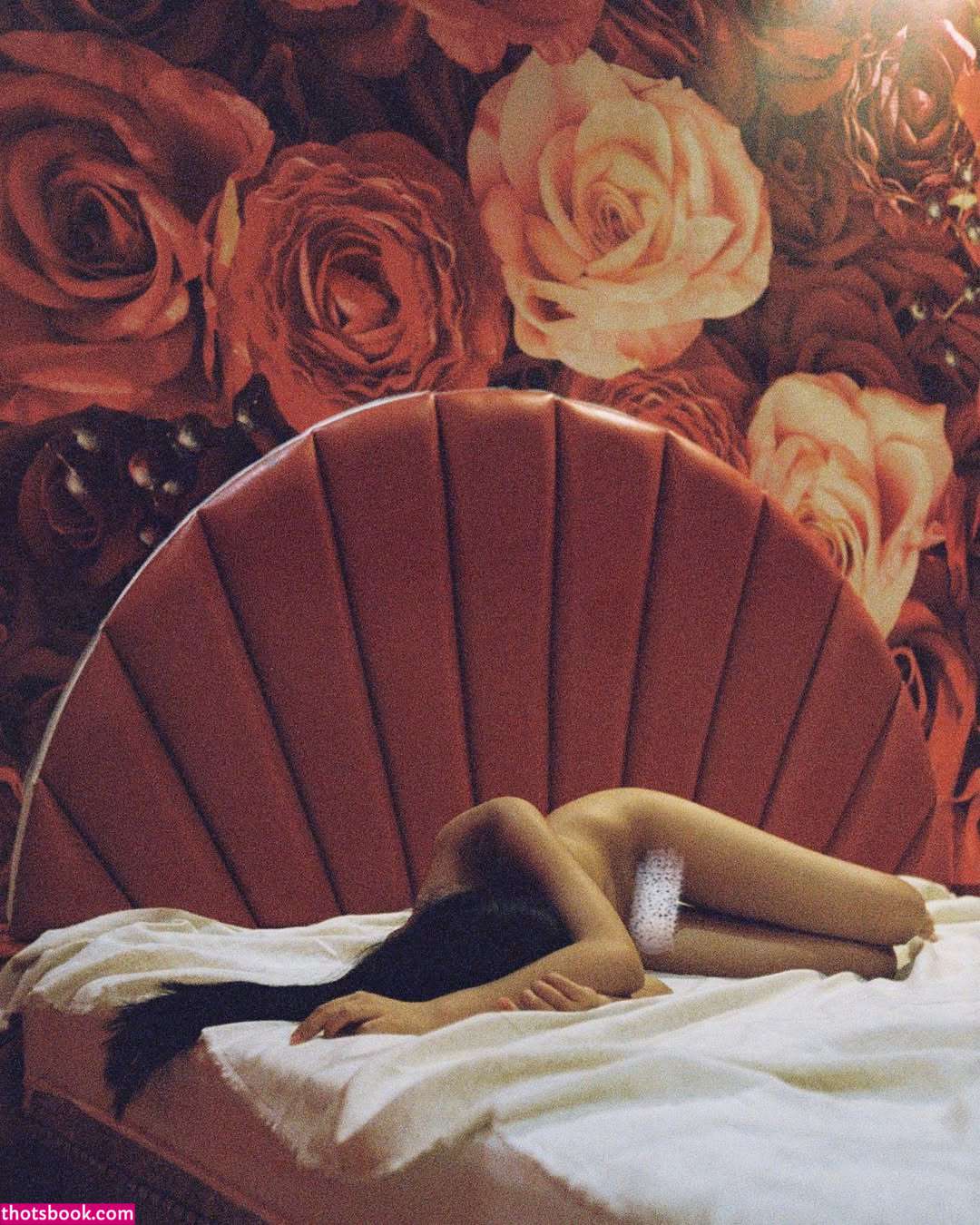 Mirrorcomb Photo #22