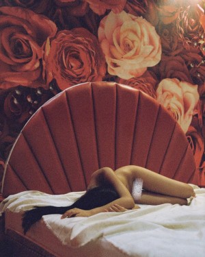 Mirrorcomb Photo #22