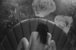 Mirrorcomb Photo #27