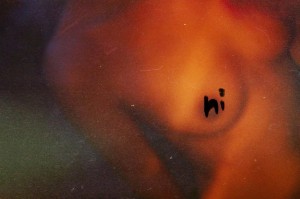 Mirrorcomb Photo #38