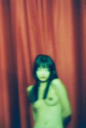 Mirrorcomb Photo #44