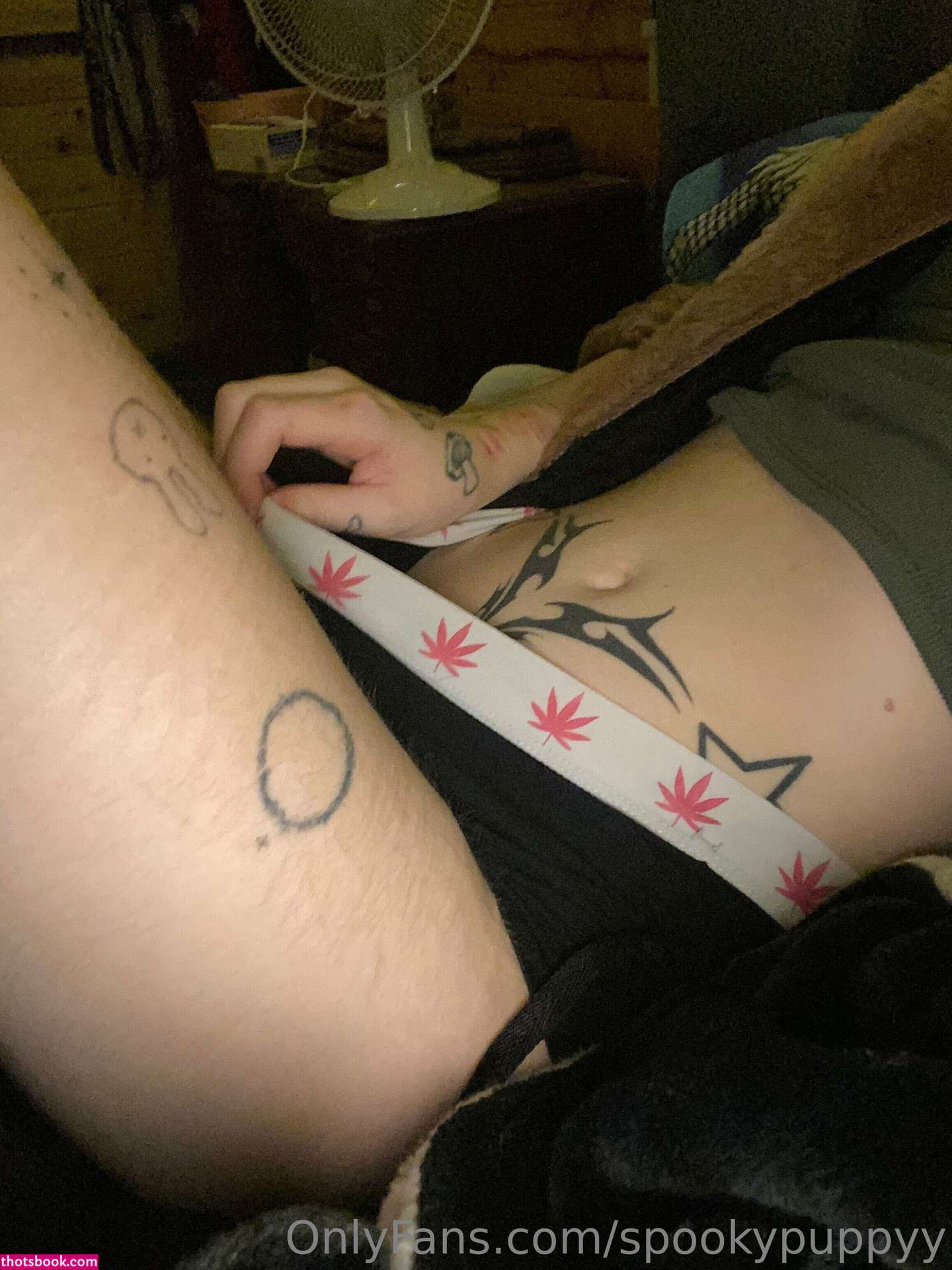 spookypuppyy Photo #12