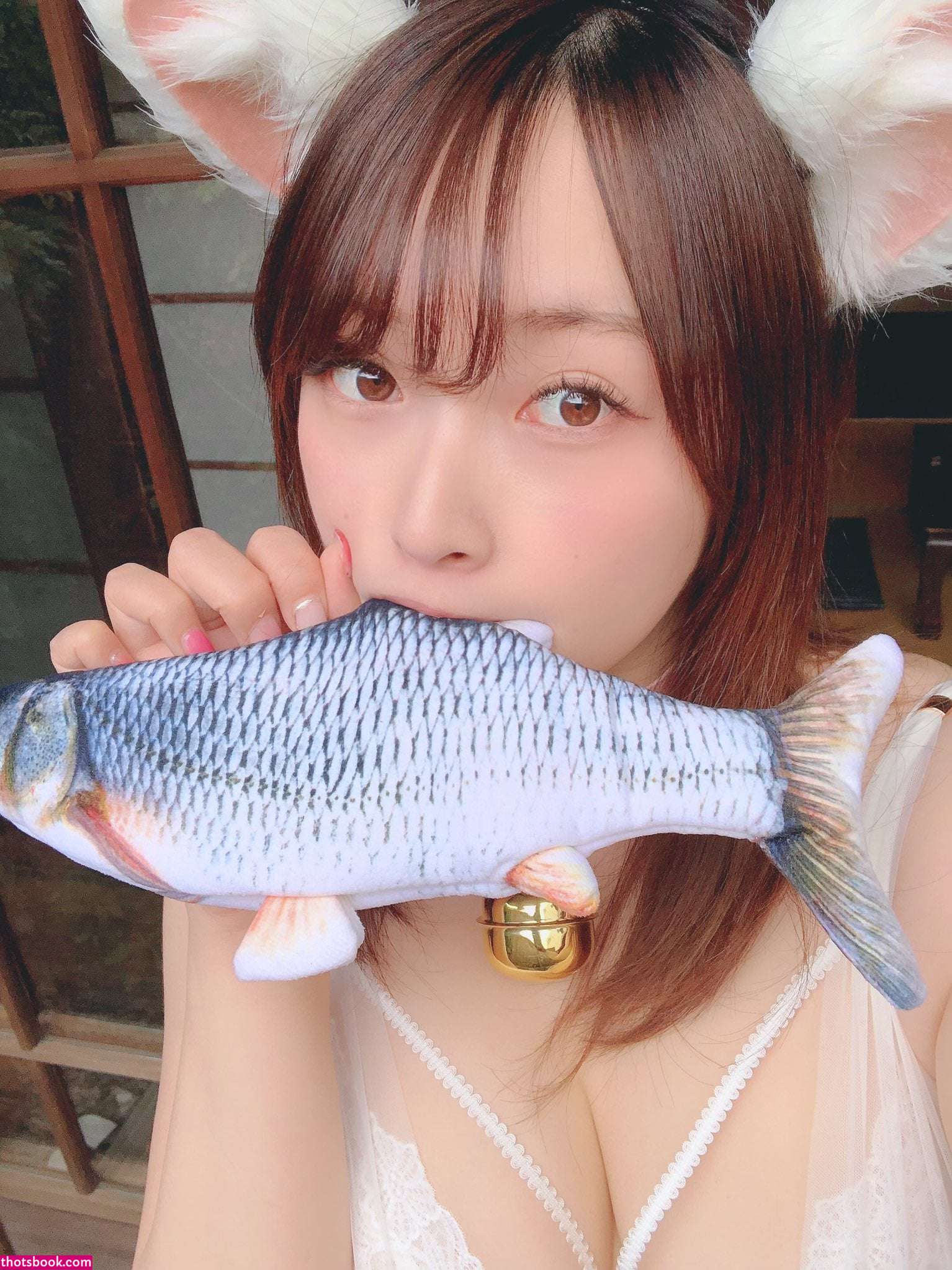 Shiinakira Photo #17