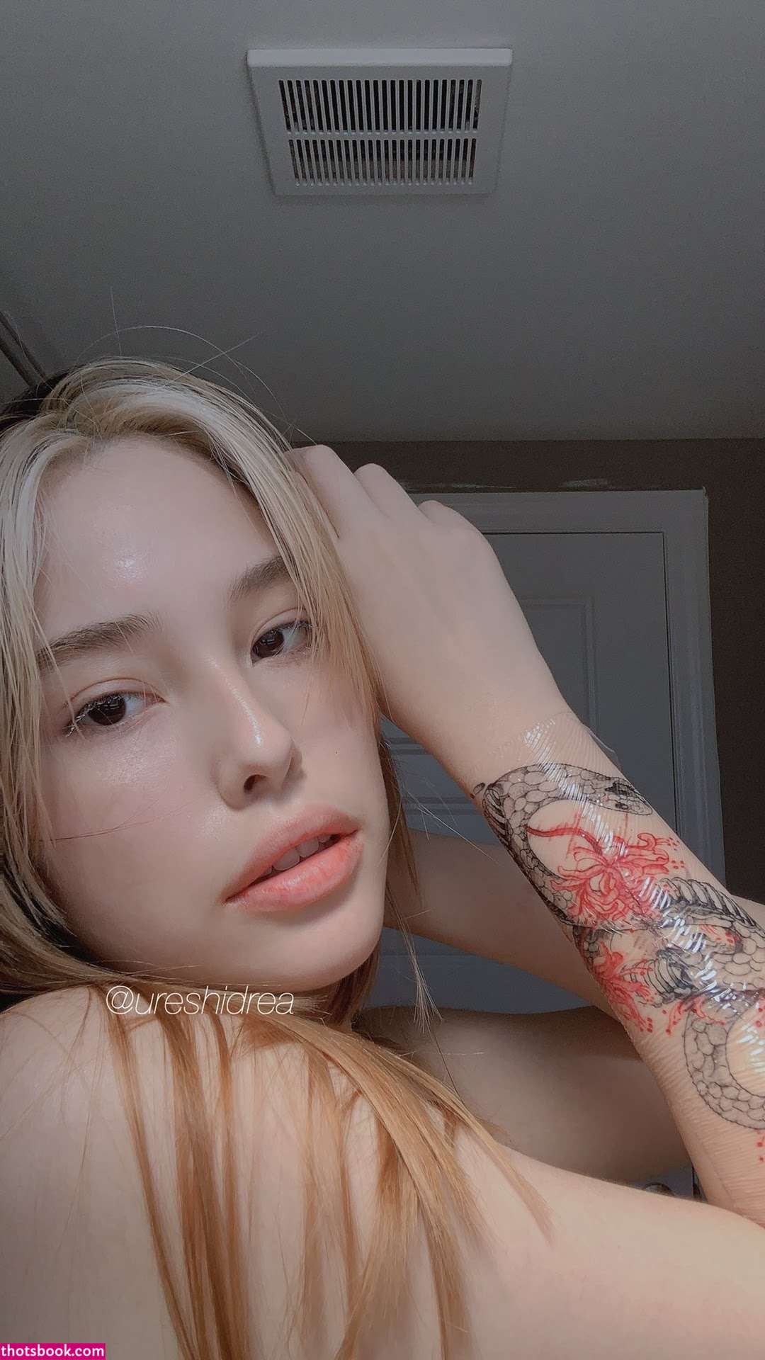 Ureshidrea Photo #20