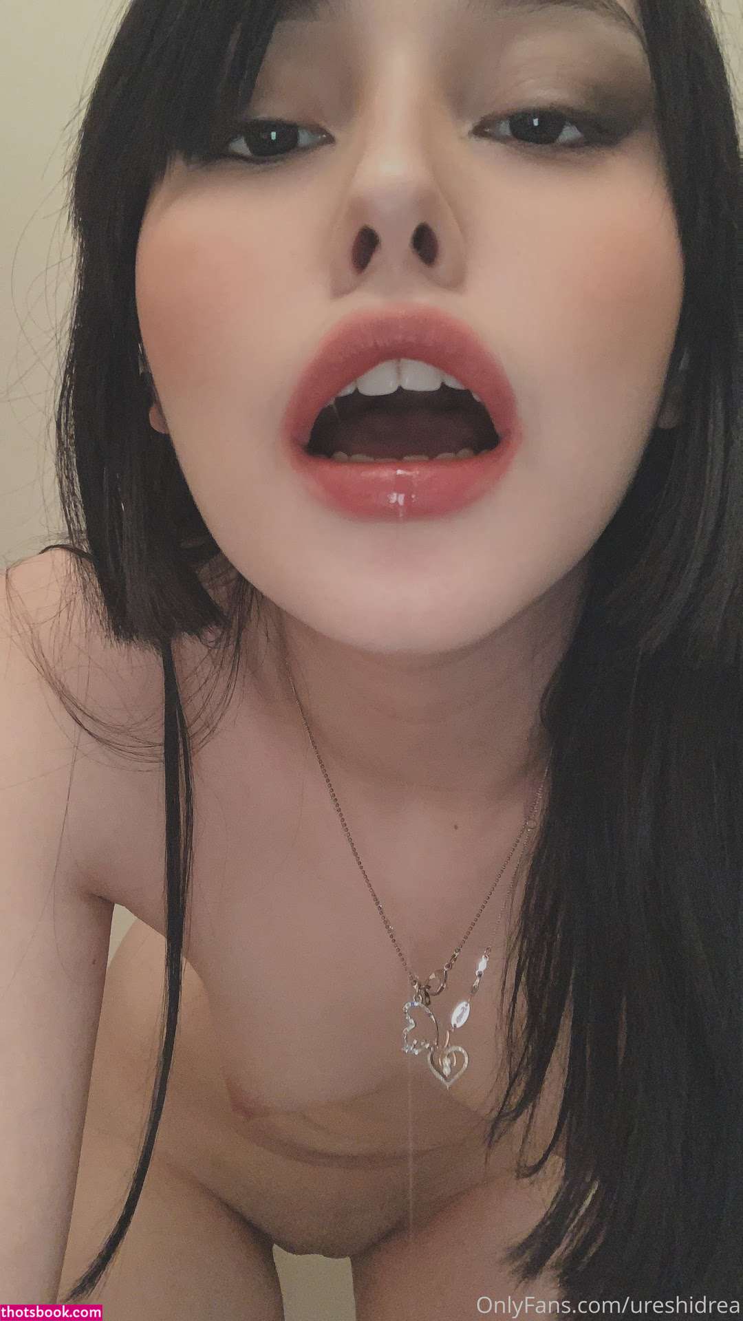 Ureshidrea Photo #42