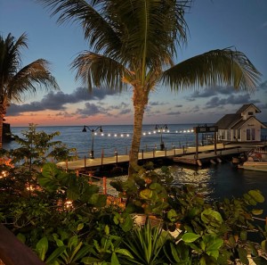 rainsummer Photo #22