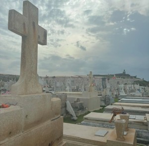 rainsummer Photo #32