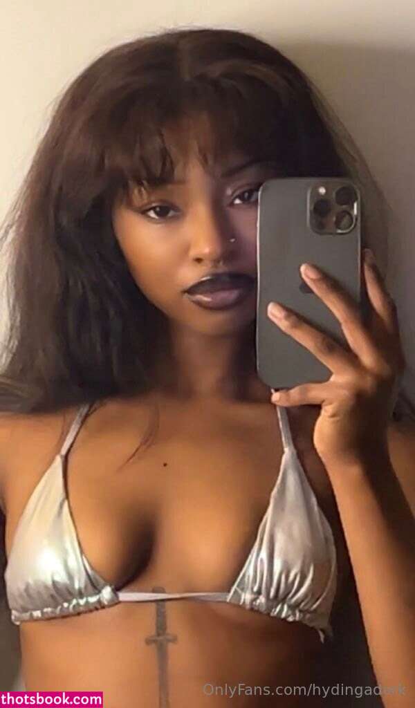 Hydingadork Photo #6