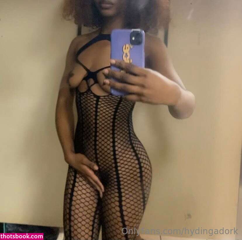 Hydingadork Photo #18