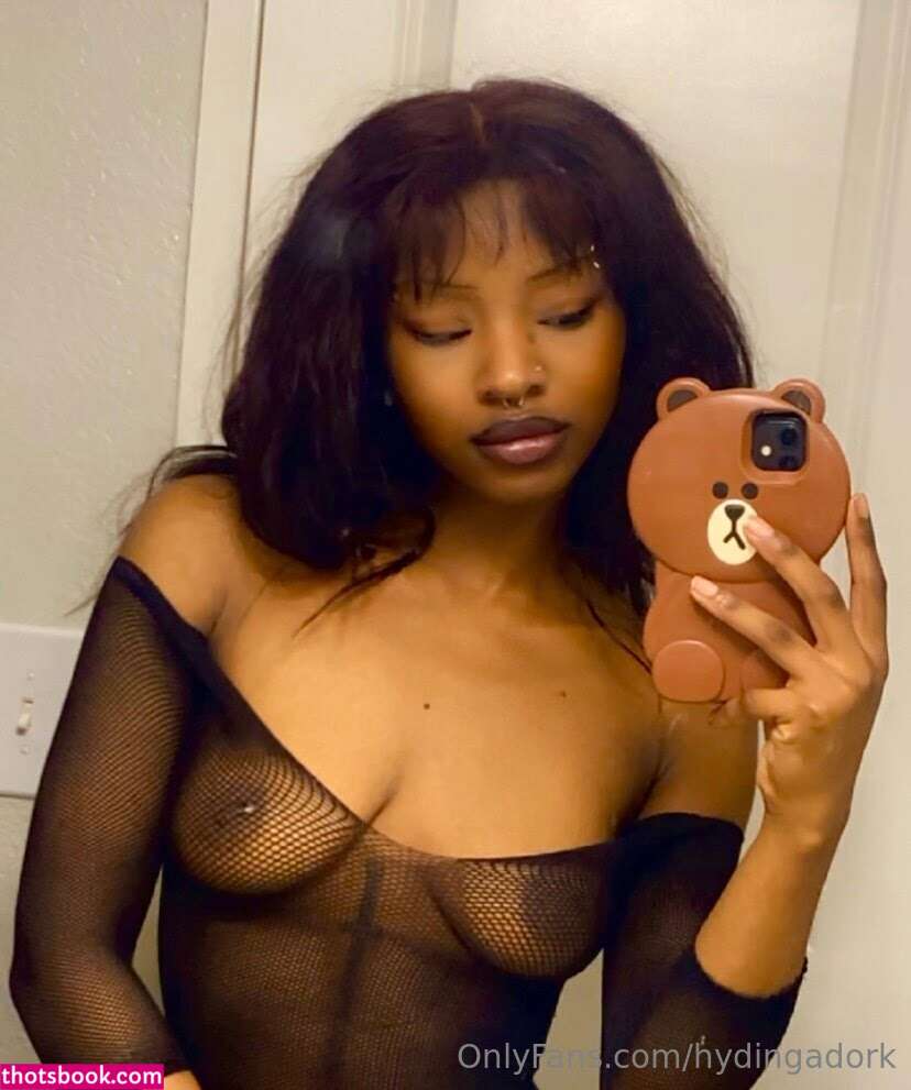 Hydingadork Photo #22